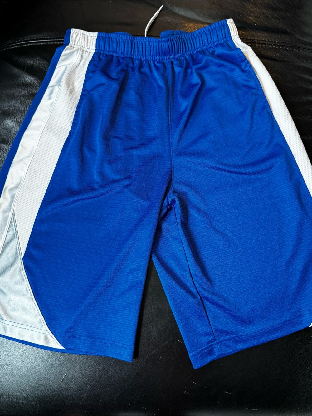 Nike Royal Blue Athletic Shorts with White Side Panels